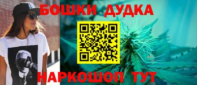 тгк Славгород