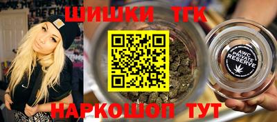 тгк Славгород