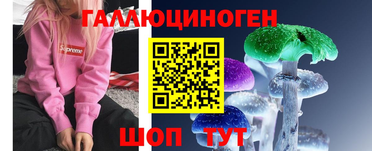 Галлюциногенные грибы MAGIC MUSHROOMS  Псилоцибиновые грибы прущие грибы  Вход с VPN  Новороссийск 